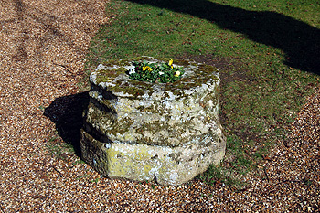 Cross base March 2012